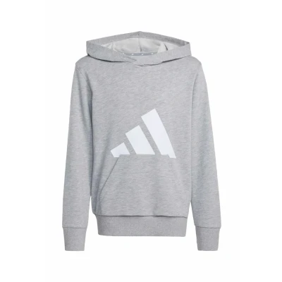 Afbeelding van adidas ESSENTIALS Big Logo Hoodie, uniseks, kinderen, 1 stuk