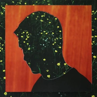Afbeelding van Kidnap Something Lost, Gained (LP)