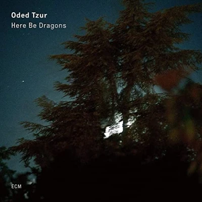 Afbeelding van Oded Tzur Here Be Dragons (CD)