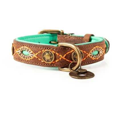 Afbeelding van Dwam Halsband Joplin Bruin&amp;Turquoise&amp;Oranje Hondenhalsband 29 33x2.5 cm