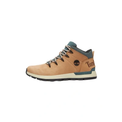 Afbeelding van Timberland Sneakers laag, Heren, Maat: 43, Medium brown Schoenen