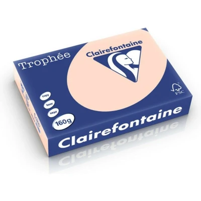 Afbeelding van Clairefontaine Trophée tel, gekleurd papier, A4, 160 g, 250 vel, zalm