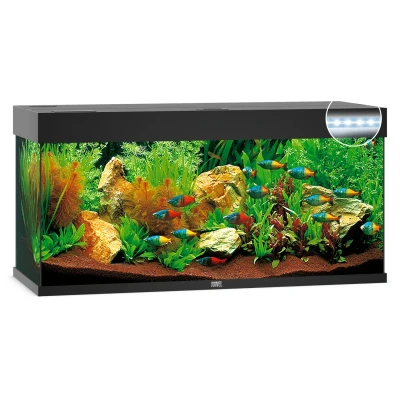 Afbeelding van Juwel aquarium Rio 240 LED met filter zwart Gebr. de Boon