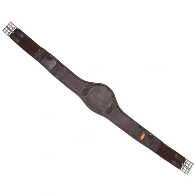 Image de SchockemöhleSangle Portland Espresso/Argent 125cm