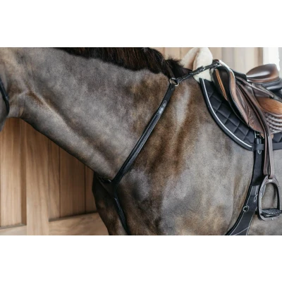 Image de Dyon Braided Breastplate