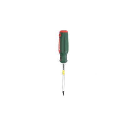Afbeelding van HANS 0440T10X100 Schroevendraaier T10 100