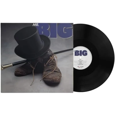 Afbeelding van Mr Big (LP)