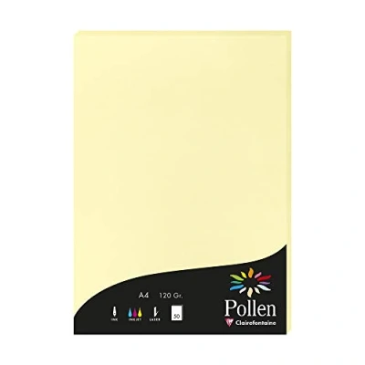Image de Clairefontaine Carte Pollen A4 120g Jaune Clair Etui De 50f