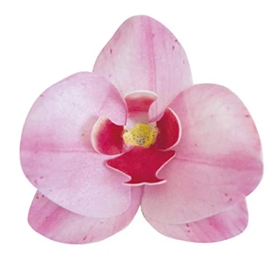 Afbeelding van Dekora Eetbare roos bloem verpakking van 10 orchideeën voor taartdecoratie, kleur, 126066