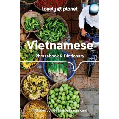Afbeelding van Phrasebook Lonely Planet Vietnamese &amp; Dictionary