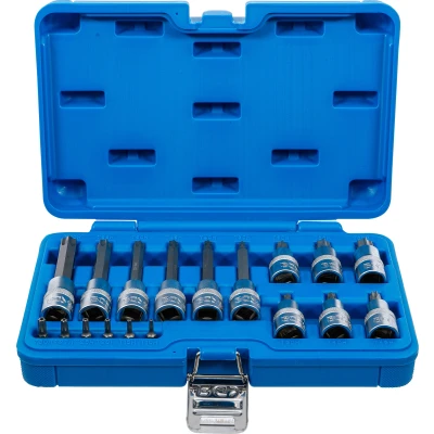 Afbeelding van BGS Dopsleutelbitset 1/4&quot; / 1/2&quot; Torx met boring 18 delig