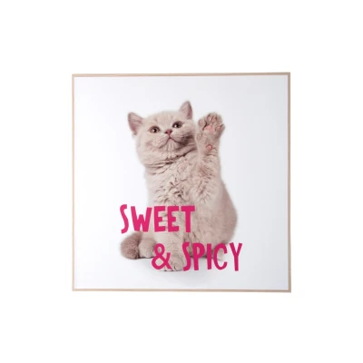 Afbeelding van Present Time Wall Art Kitten Sweet &amp; Spicy Multicolor