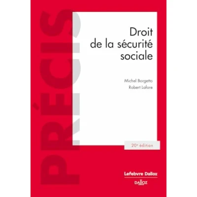 Afbeelding van Droit de la securite sociale