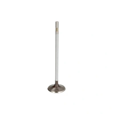 Afbeelding van Ae Inlaatklep V98077