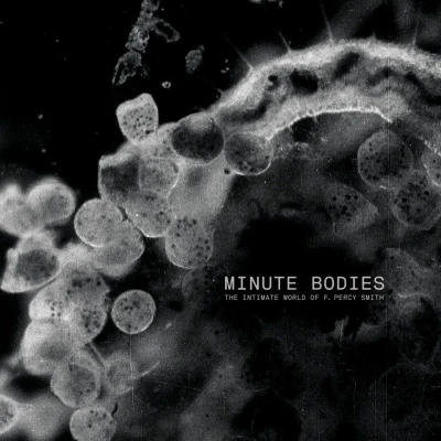 Afbeelding van Minute Bodies: The Intimate World Of F. Percy Smith