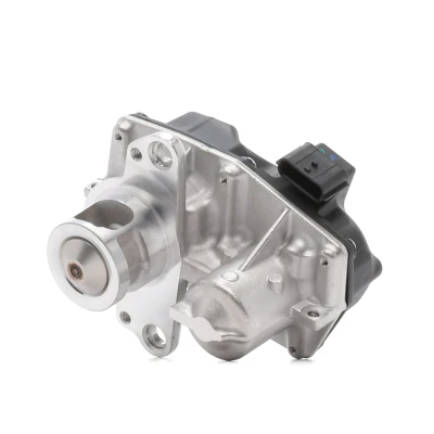 Afbeelding van PIERBURG 7.24809.90.0 EGR klep Electrisch Controleklep Met pakking OPEL: Vivaro B Combi, Van, RENAULT: Espace 5, Trafic 3, MEGANE 3 Grandtour