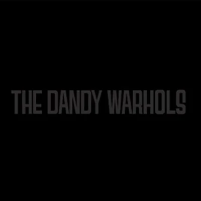 Afbeelding van Dandy Warhols Black Album (LP)