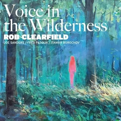 Afbeelding van Rob Clearfield Feat. Joe Sanders &amp; Voice In The Wilderness (CD)