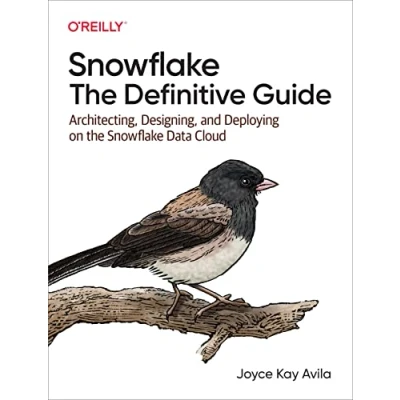 Afbeelding van Snowflake The Definitive Guide