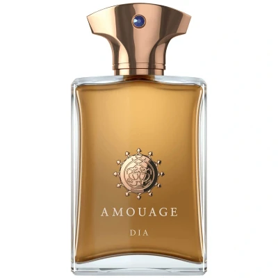 Afbeelding van Amouage Dia Man 100 ml Eau de Parfum Spray