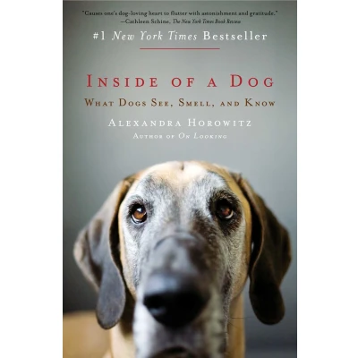 Afbeelding van Inside Of A Dog
