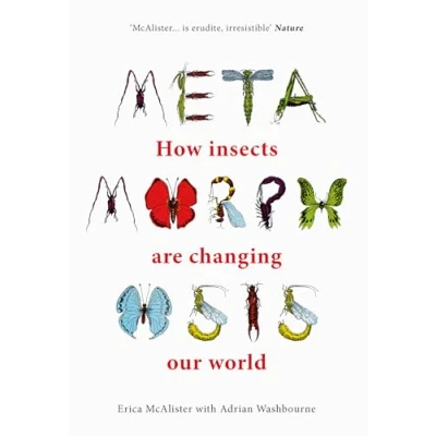 Afbeelding van Metamorphosis