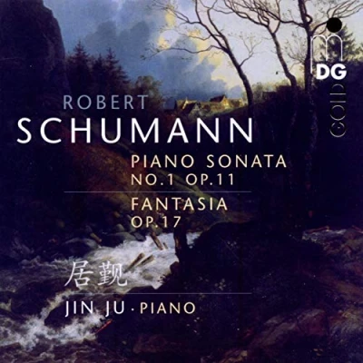 Afbeelding van Various Artists Sonate 1 Op.11/Fantasie Op.17 (Super Audio CD)