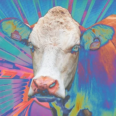 Afbeelding van Eyes Of Others (CD)