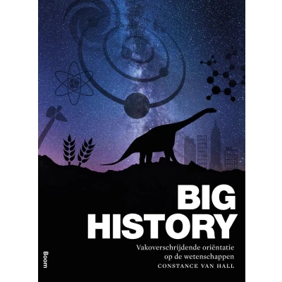 Afbeelding van Big history