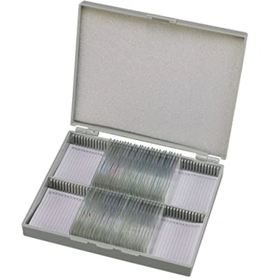 Afbeelding van Bresser Microscoop preparaten 30 stuks: Mens