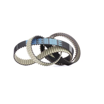 Afbeelding van Getande riem DAYCO 941011
