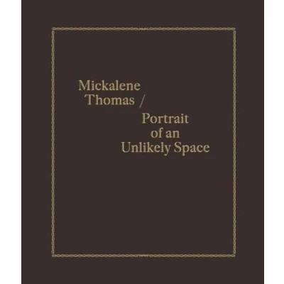 Afbeelding van Mickalene Thomas / Portrait of an Unlikely Space