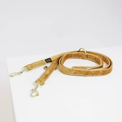 Image de Kentucky Laisse pour Chien velours Moutarde 2m S