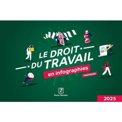 Afbeelding van Le droit du travail en infographies pratiques