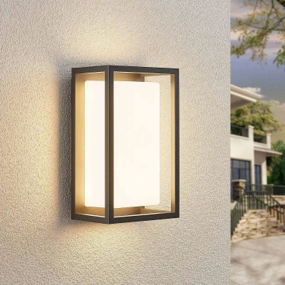 Afbeelding van Lucande LED wandlamp buiten 1licht drukgegoten aluminium, kunststof H: 25 cm grafiet, wit Inclusief lichtbron