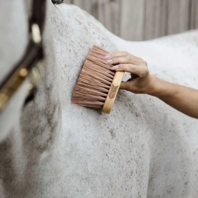 Afbeelding van Grooming Deluxe by Kentucky Borstel Middle M Bruin