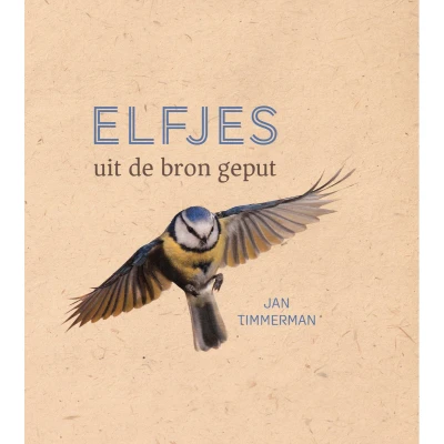 Afbeelding van Elfjes
