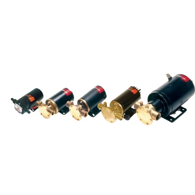 Afbeelding van Johnson pump zelfaanzuigende impellerpomp f4b 19 24v 48l/min aansluiting 1 slang &amp; 1/2 bsp