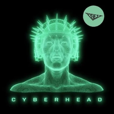 Afbeelding van Priest Cyberhead (LP)