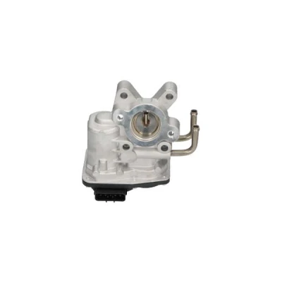Afbeelding van Kavo Parts EGR klep EEG 6505