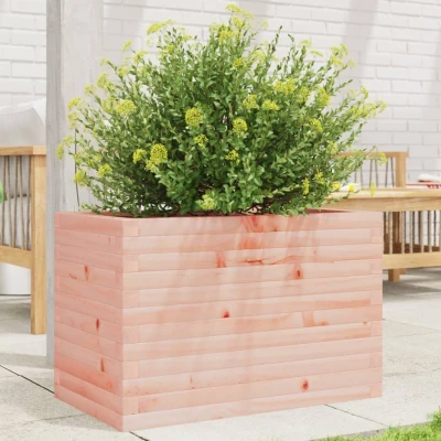 Afbeelding van Plantenbak 70x40x45,5 cm massief douglashout