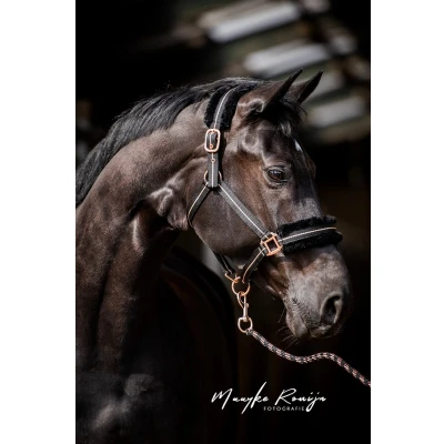Afbeelding van HB Halster Europe Rose Zwart Pony