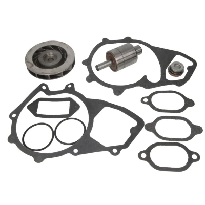 Afbeelding van THERMOTEC WP MN118RK Reparatieset, waterpomp