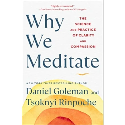 Afbeelding van Why We Meditate
