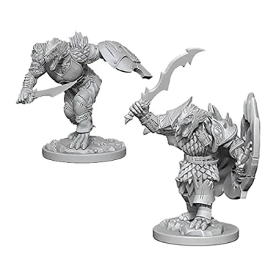 Afbeelding van Dungeons and Dragons: Nolzurs Marvelous Miniatures Dragonborn Male Fighter