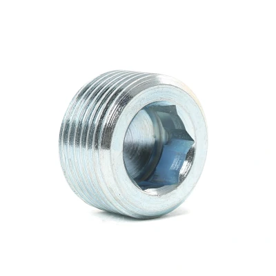 Afbeelding van Vaico Olie aftapplug / carterplug V25 1756