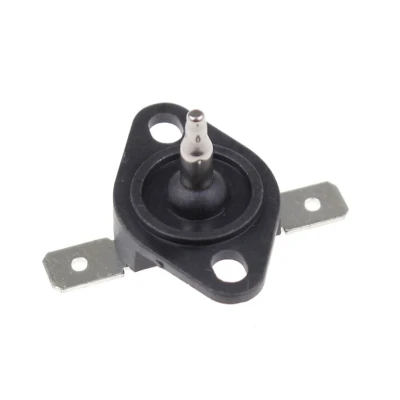 Image de Ariston Thermostat ntc rear arcadia C00292949