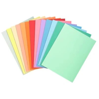 Afbeelding van Exacompta Pak Van 100 Dossiermappen Super 250 24x32cm Assorti