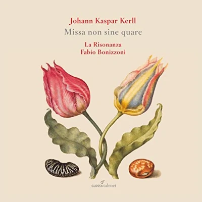 Afbeelding van La Risonanza, Fabio Bonizzoni Kerll: Missa Non Sine Quare (CD)