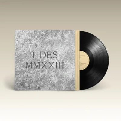 Afbeelding van King Creosote I Des (LP)